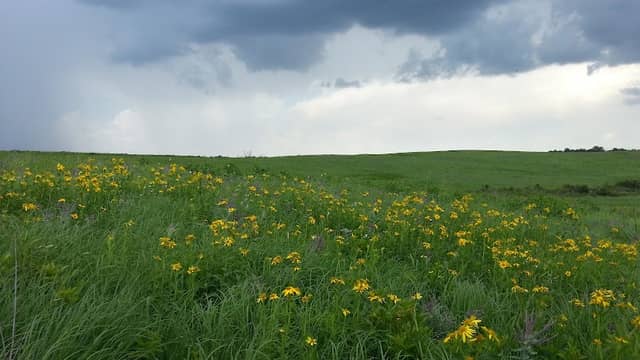 Stilwell Prairie - Image 1