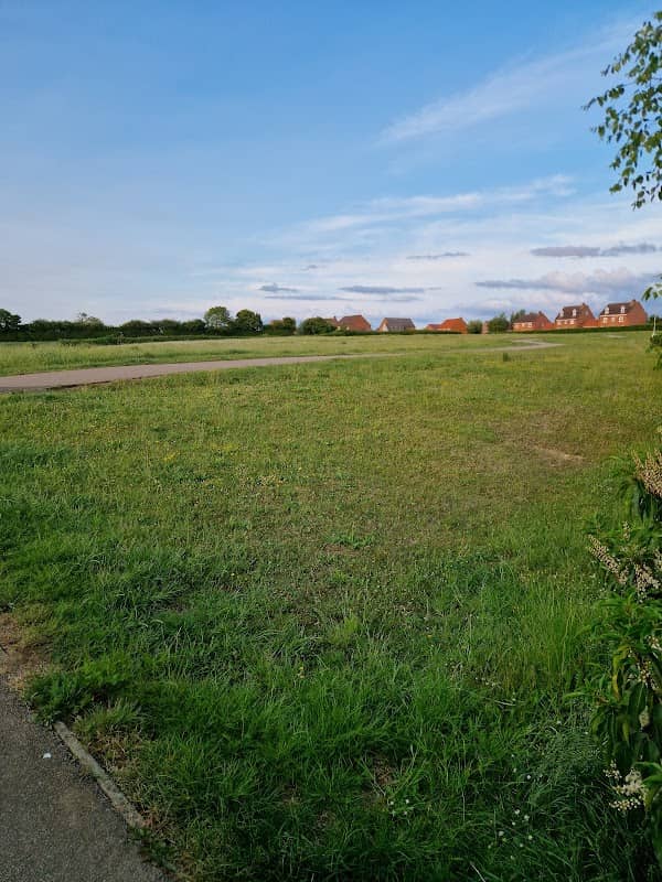 Mawsley Meadow - Image 1