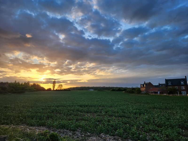 Mawsley Meadow - Image 2