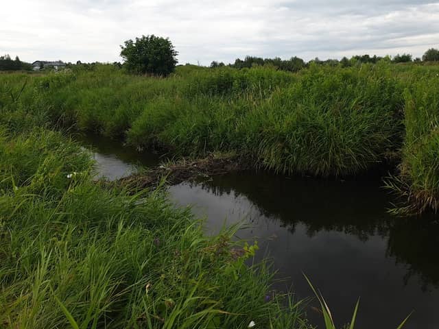 Żeremie bobrze - Image 1