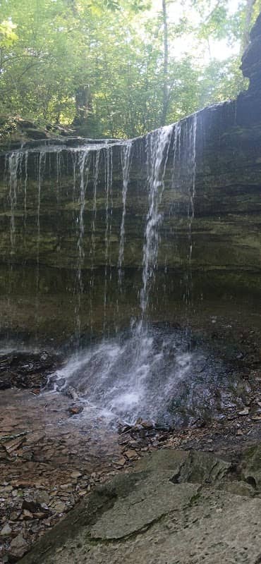 Waterfall Shelter at Lower Cascades Park - Image 1