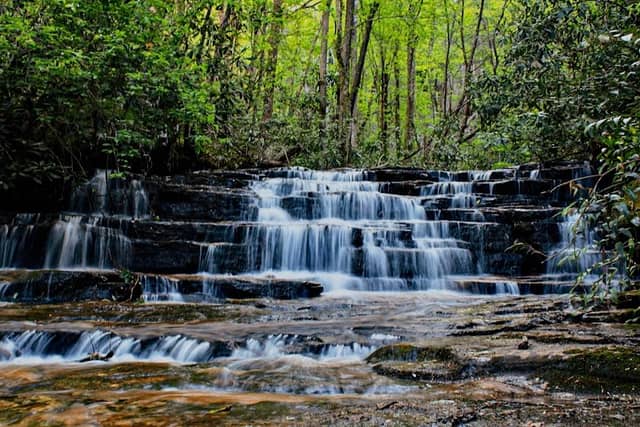 Lowry Falls Trail - Image 1