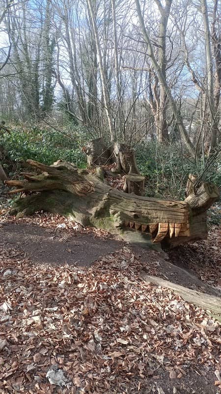 East Hills Woods - Image 1