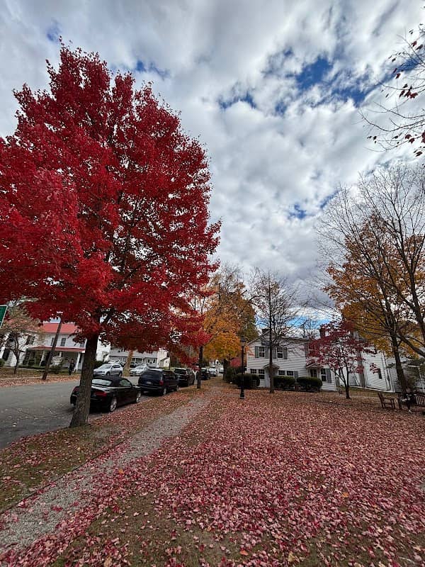 Old Center Square Park - Image 2