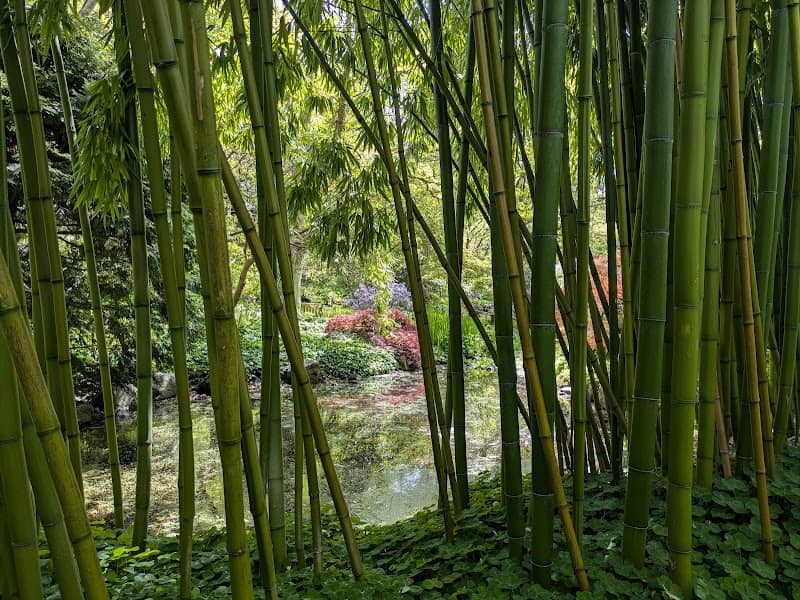 Finnerty Gardens - Image 1