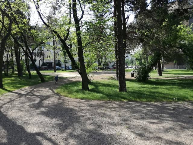 Park wewnętrzny - Image 1