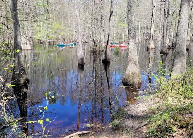 Friends of Chakchiuma Swamp - Image 1