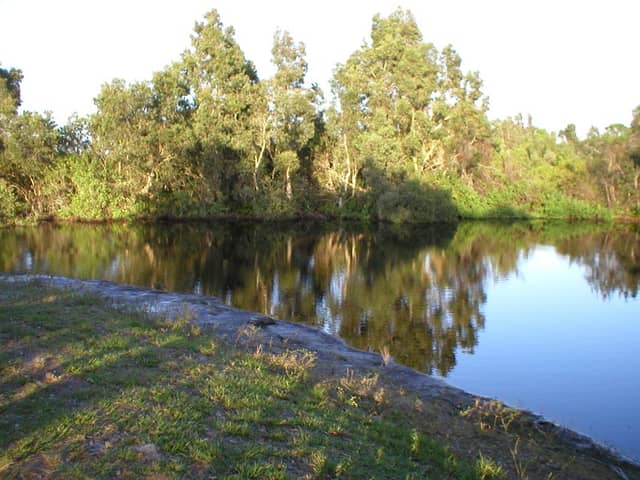 Wilderness Park - Image 2