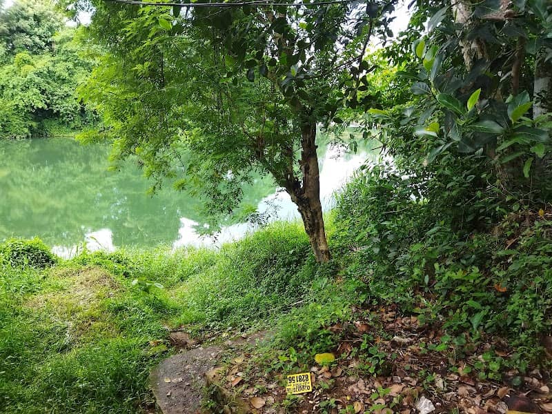 Puzhayoram view point ( പുഴയോരം വ്യൂ പോയിന്റ് ) - Image 1