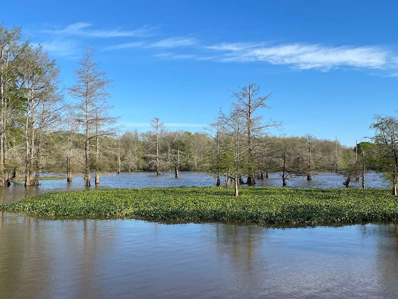 Leake County Water Park - Image 1
