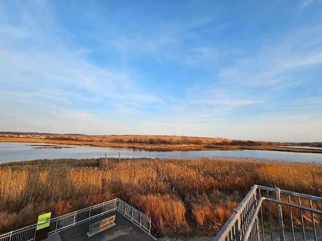 Freshkills Park Birdwatching Tower - Image 2