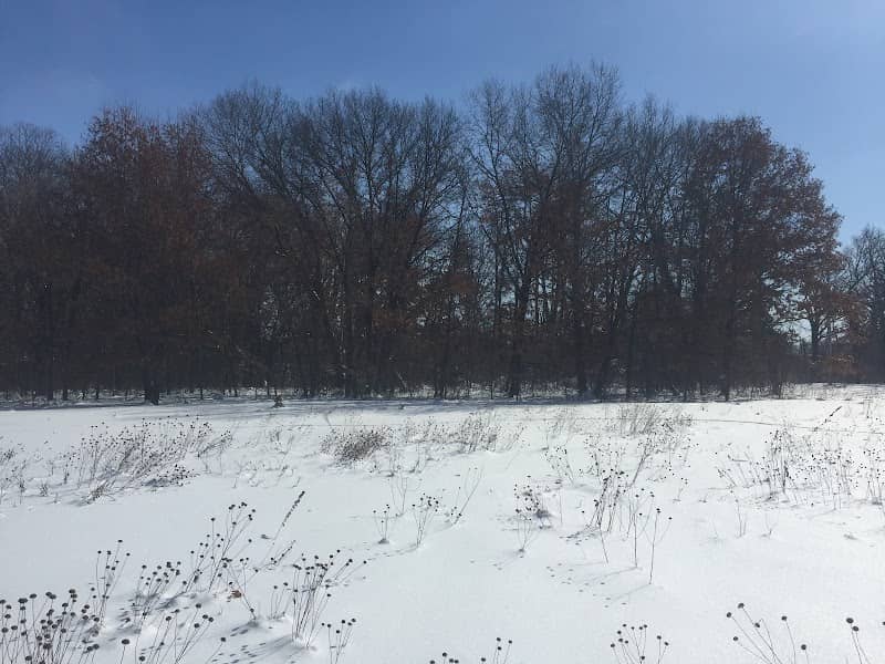 Anoka Ramsey Natural Area - Image 3