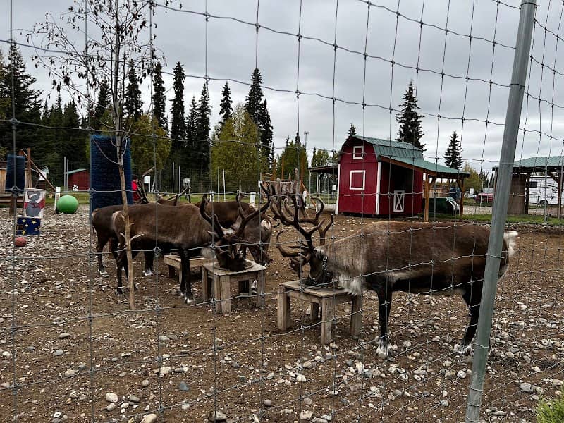 Antler Academy - Image 2