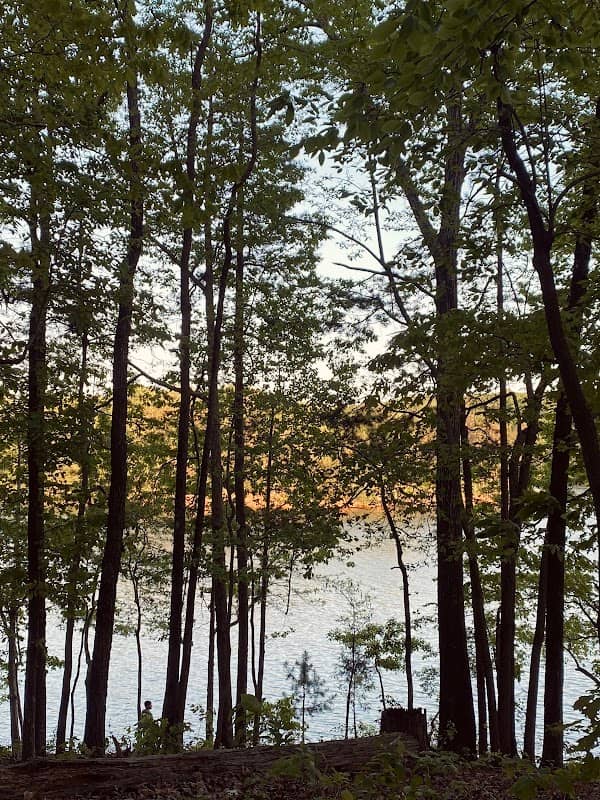 Lake Hartwell state park - Image 2