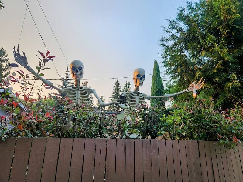 Skeleton Corner - Image 1
