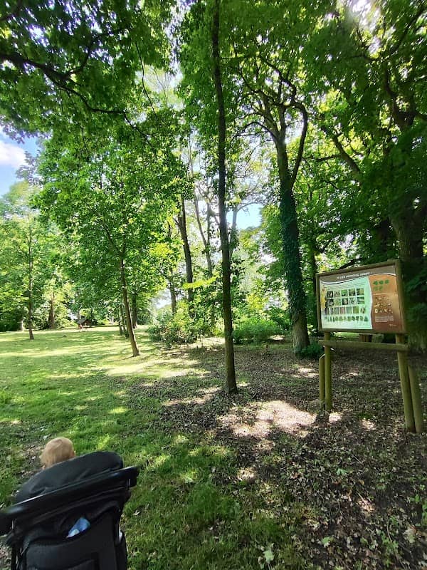 Park Podworski w Rekcinie - Image 1
