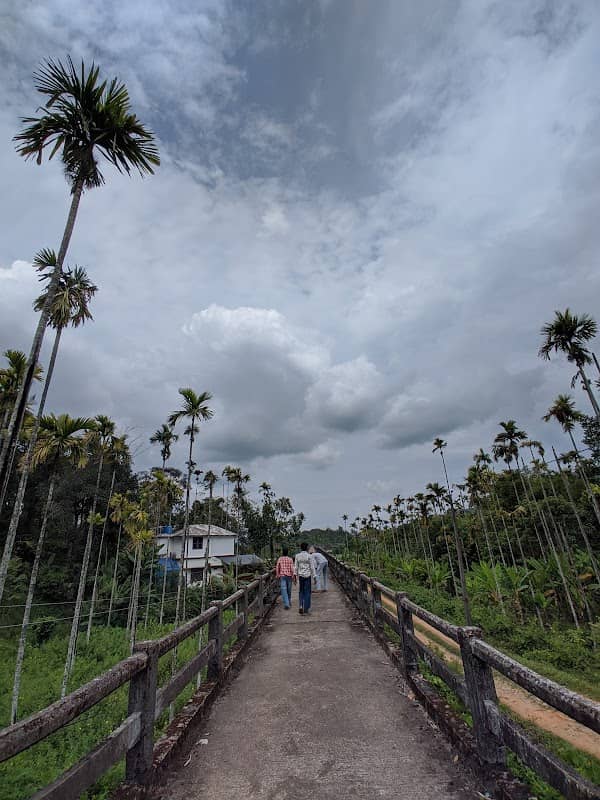 Muttil Water bridge, Aqueduct - Image 1