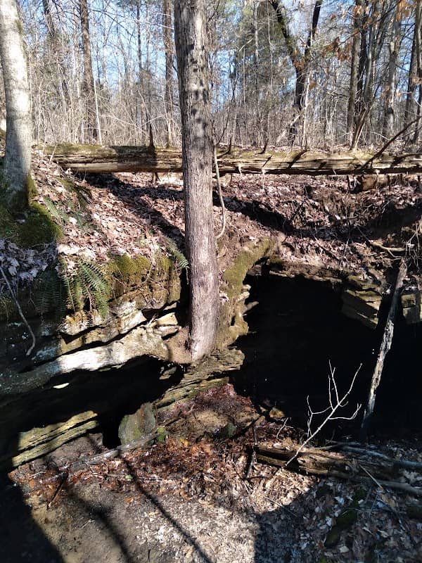 Lincoln Trailhead - Image 1