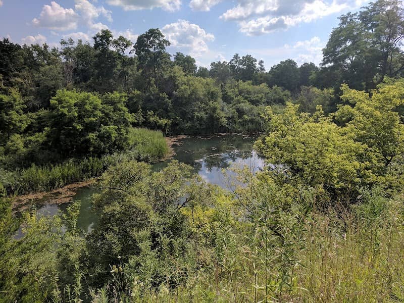 Bluff Spring Fen - Image 2