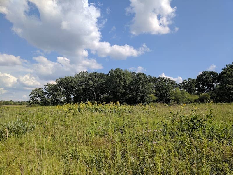 Bluff Spring Fen - Image 1