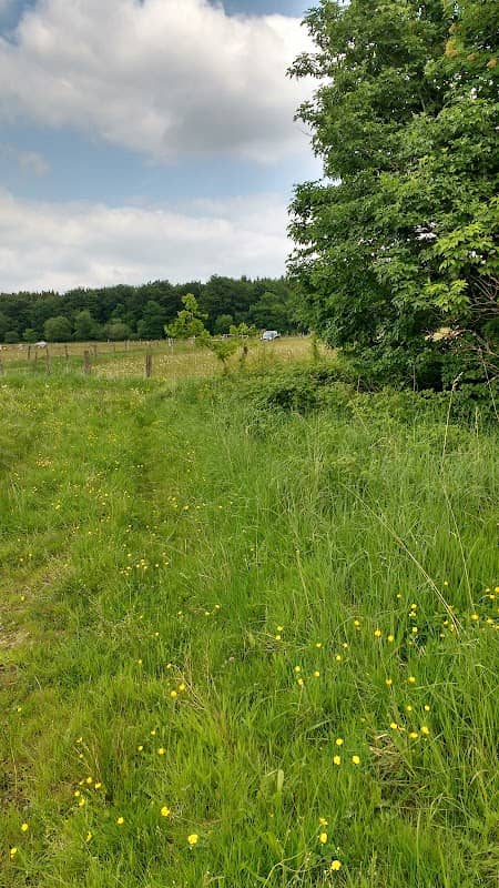 Eselsbett - Image 1