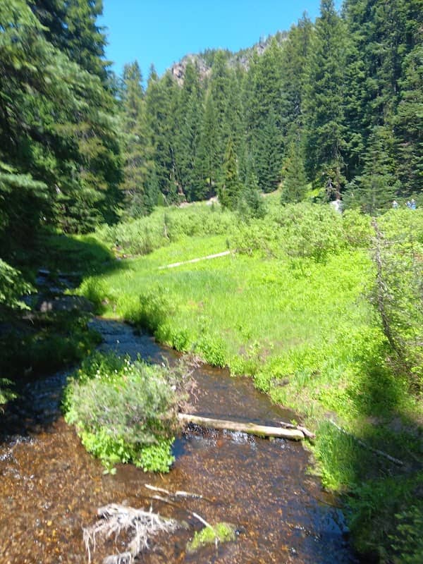 Castle Crest Wildflower Garden - Image 1