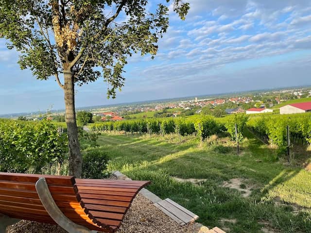 Bastion Bodenheim-Blick - Image 2