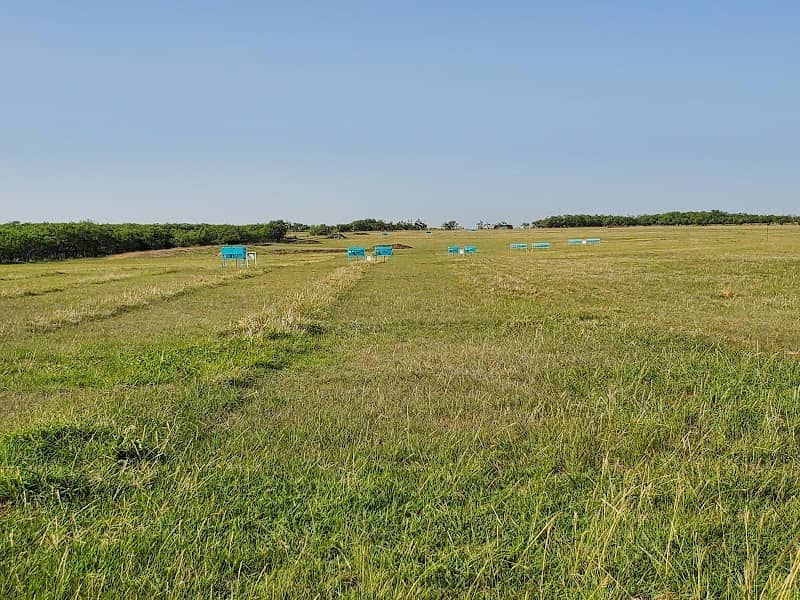 THE RANGE - Image 2
