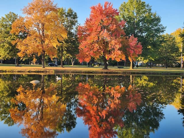 Veterans' Memorial Park and Boulevard - Image 1