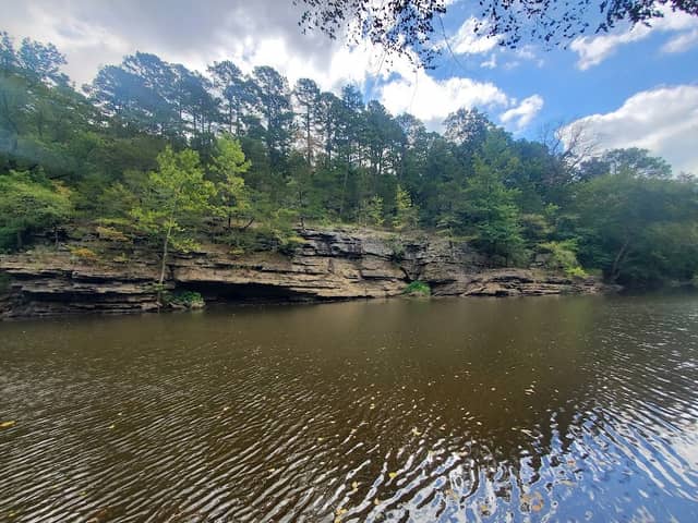 Cove Creek Natural Area - Image 2