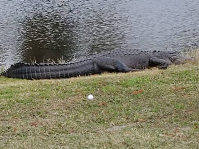 Willowbrook Golf Course - Image 2