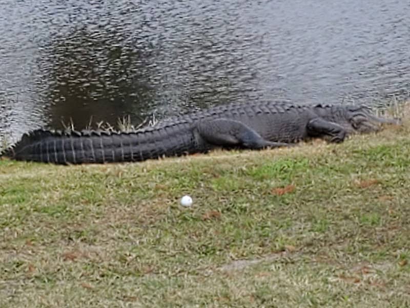 Willowbrook Golf Course - Image 2