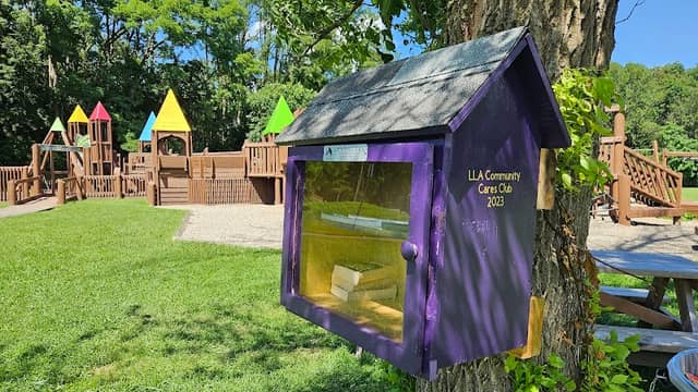 Sassafras Safari - Image 2