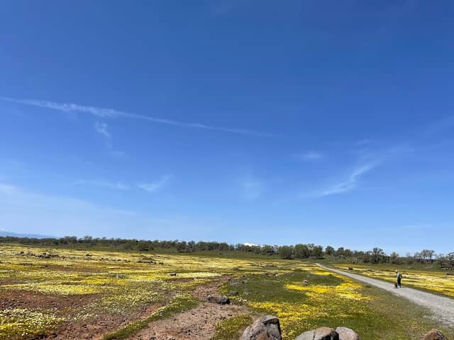 Sacramento River Bend Hog Lake Trailhead - Image 1