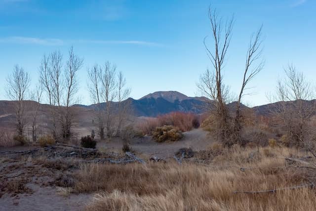 Castle Creek Picnic Area - Image 2