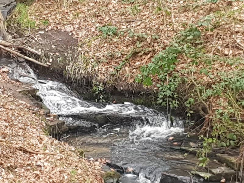 Westheads Clough - Image 1