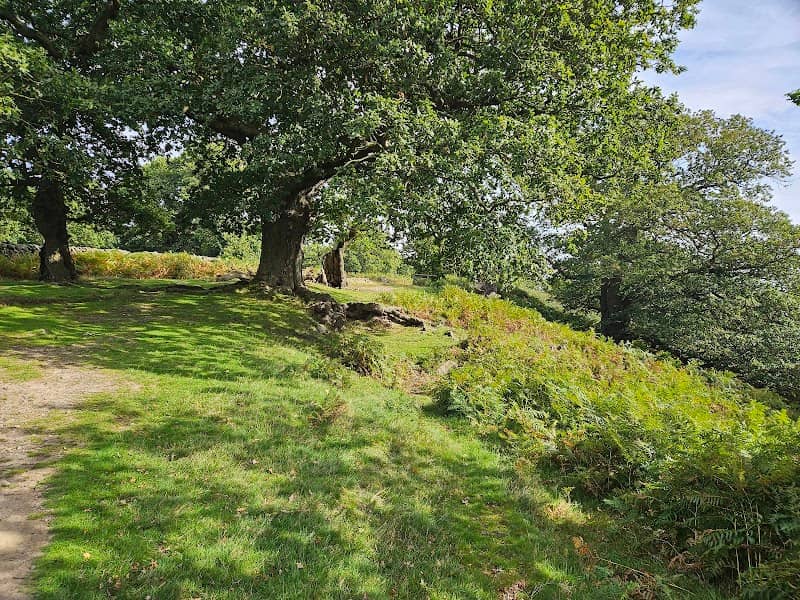 Bradgate Park (Newtown Linford Entrance) - Image 3