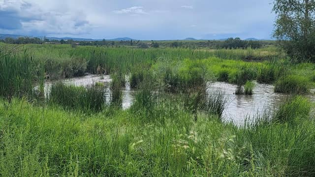 Becker Lake Wildlife Area - Image 2