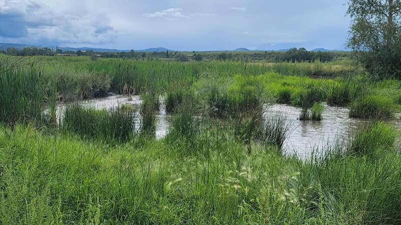 Becker Lake Wildlife Area - Image 2