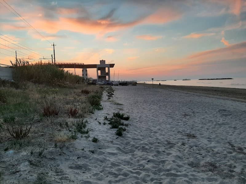 Habitat dune sabbiose - Image 1