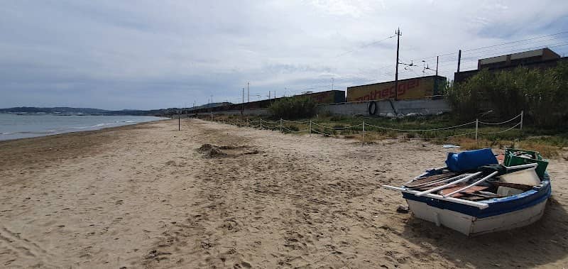 Habitat dune sabbiose - Image 2