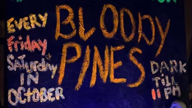 The bloody pines - Image 1