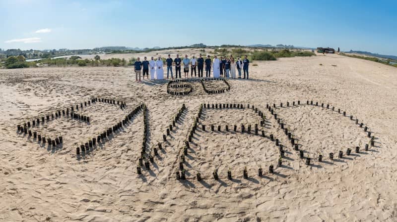 Emirates NBD 60th Anniversary Mangrove Forest - Image 1