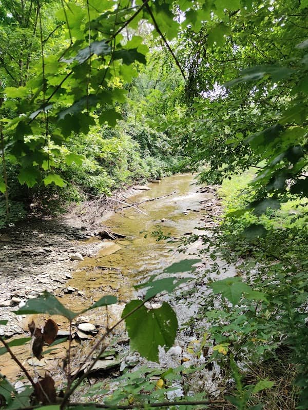 Creekside Park - Image 2