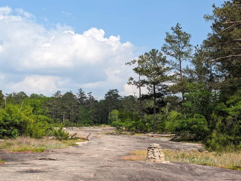 Davidson-Arabia Mountain Nature Preserve - Image 3
