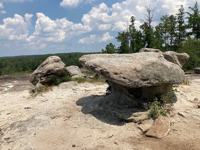 Davidson-Arabia Mountain Nature Preserve - Image 2