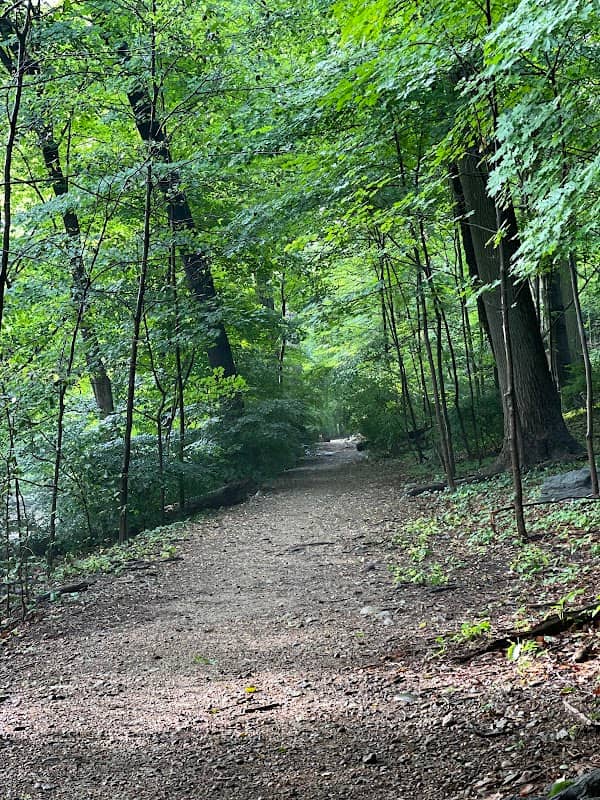 Hunt's Woods Park - Image 2