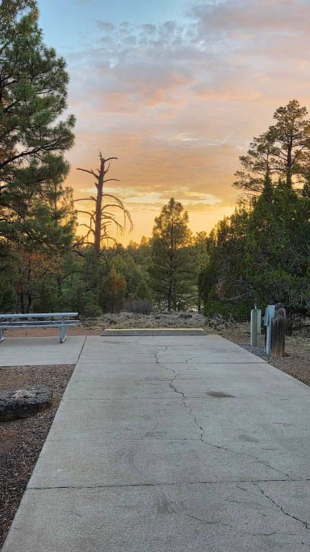 Ruddy Duck Loop Campground - Image 3