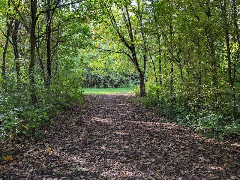 Coton Wood - Image 1