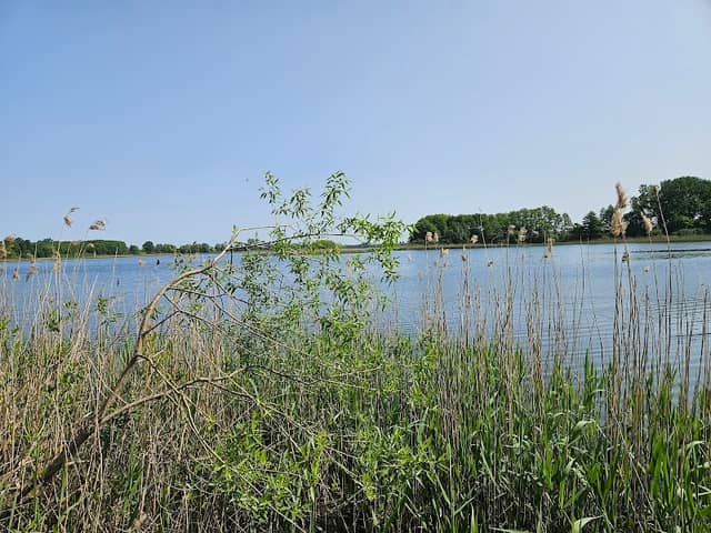 Ruda plaża - Image 1